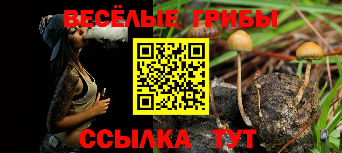 Псилоцибиновые грибы мицелий Красноярск
