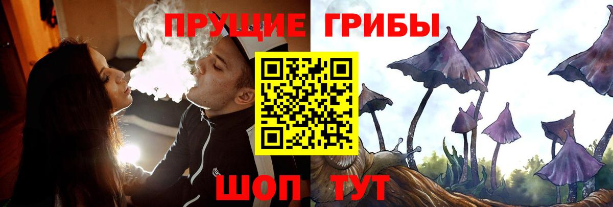 Галлюциногенные грибы GOLDEN TEACHER  наркошоп  Красноярск  Вход с VPN 
